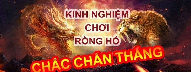 Game Rồng Hổ QQLive - Cá cược bài đơn giản, tỷ lệ thắng cao 2025 3 Mẹo chơi game Rồng Hổ QQLive
