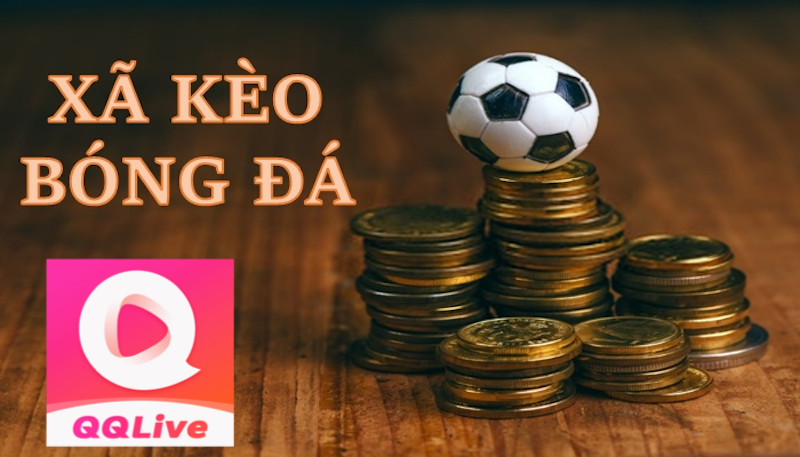 QQlive 2024: Hướng Dẫn Xả Kèo Bóng Đá Giúp Cược Thủ Thoát Lỗ 3 Cách xả kèo bóng đá trên QQlive
